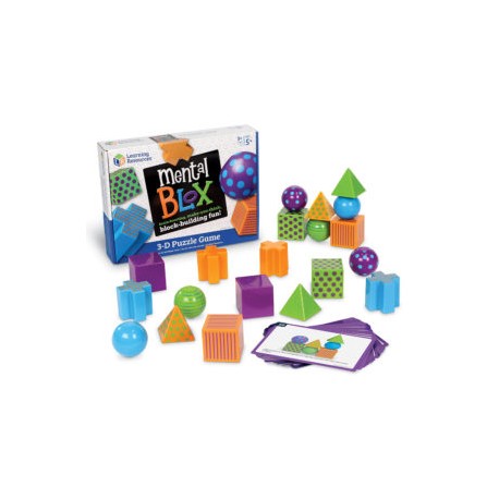 Mental Blox® Critical Thinking Game