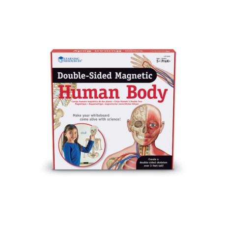 Double-Sided Magnetic Human Body